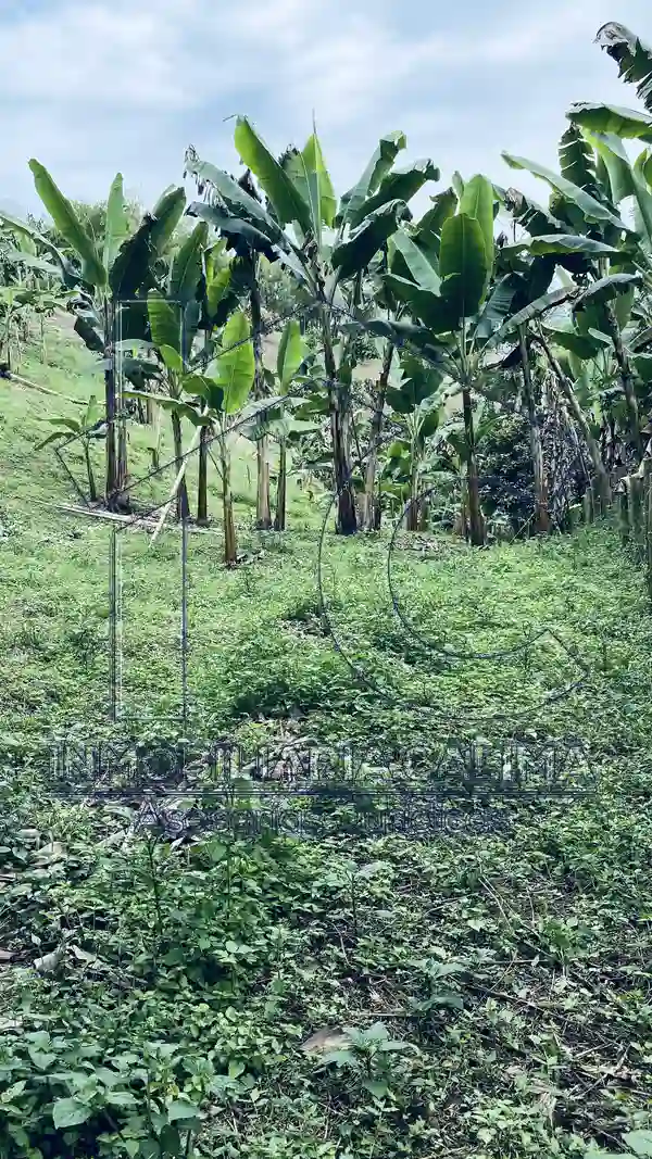 Casa Campestre, Circasia